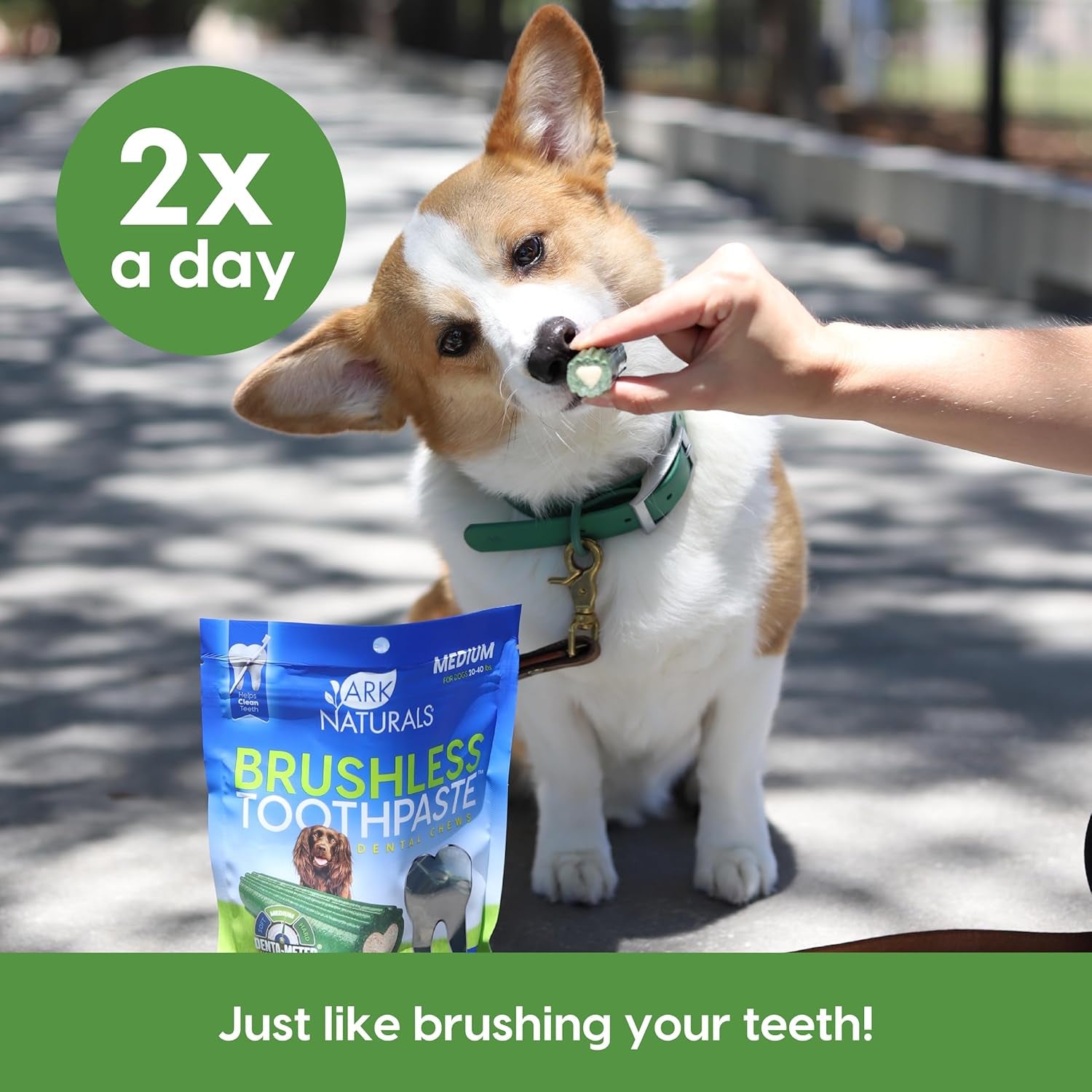 Brushless Toothpaste, Dog Dental Chews for Medium Breeds, Freshens Breath, Helps Reduce Plaque & Tartar, 18Oz, 1 Pack